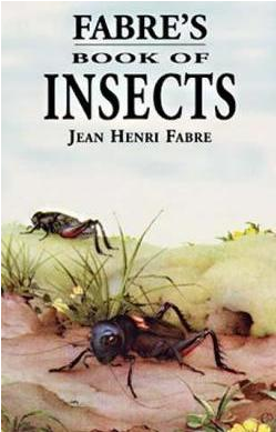 Fabre's book of insects